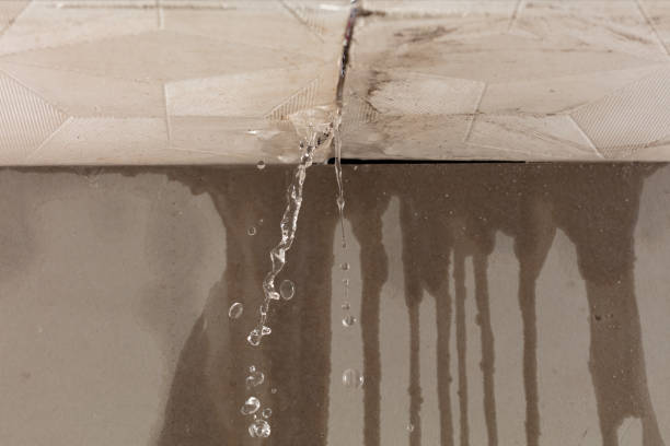Professional Structural Drying technician working in Ralls, TX